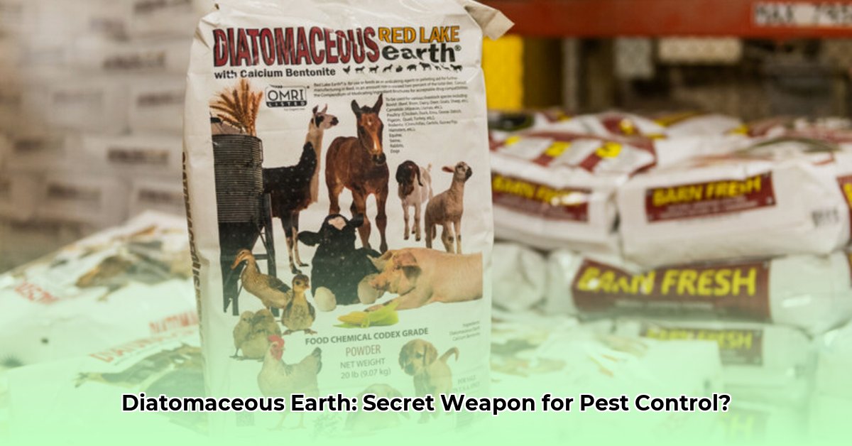 diatomaceous-tractor-supply